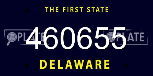 460655 Delaware License Plate