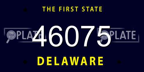 46075 Delaware License Plate