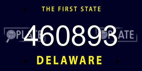 460893 Delaware License Plate