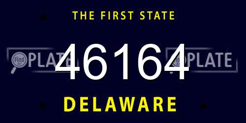 46164 Delaware License Plate