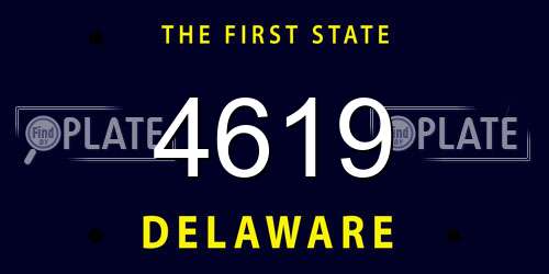 4619 Delaware License Plate