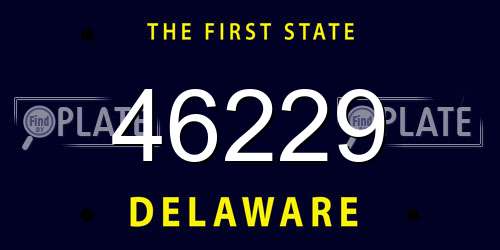 46229 Delaware License Plate