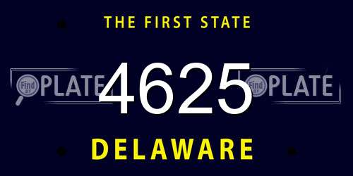 4625 Delaware License Plate