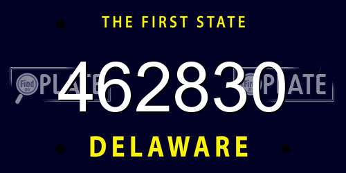462830 Delaware License Plate