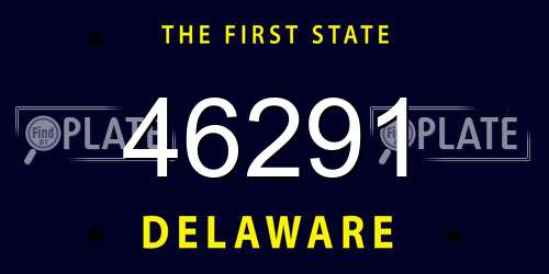 46291 Delaware License Plate