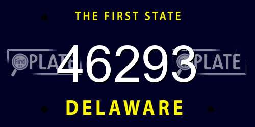 46293 Delaware License Plate