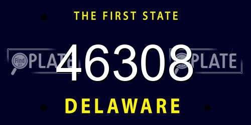 46308 Delaware License Plate