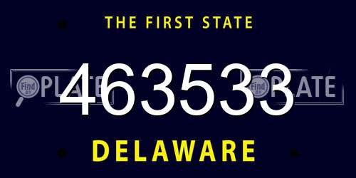 463533 Delaware License Plate