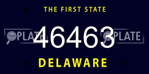 46463 Delaware License Plate