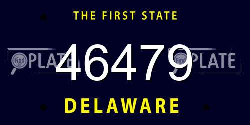 46479 Delaware License Plate
