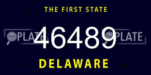 46489 Delaware License Plate