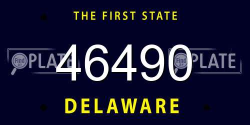 46490 Delaware License Plate