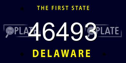 46493 Delaware License Plate