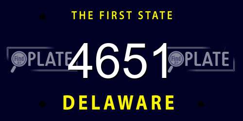 4651 Delaware License Plate