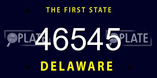 46545 Delaware License Plate