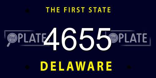 4655 Delaware License Plate
