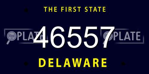 46557 Delaware License Plate