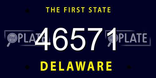 46571 Delaware License Plate