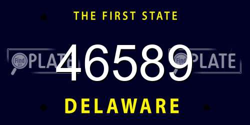 46589 Delaware License Plate