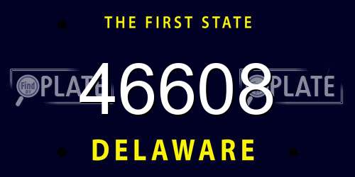 46608 Delaware License Plate