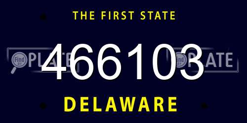 466103 Delaware License Plate