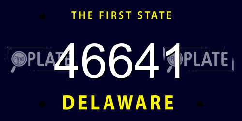 46641 Delaware License Plate