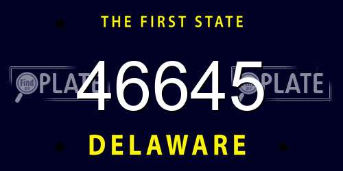46645 Delaware License Plate