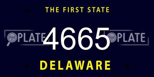 4665 Delaware License Plate
