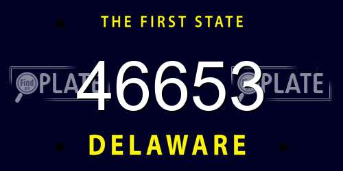 46653 Delaware License Plate