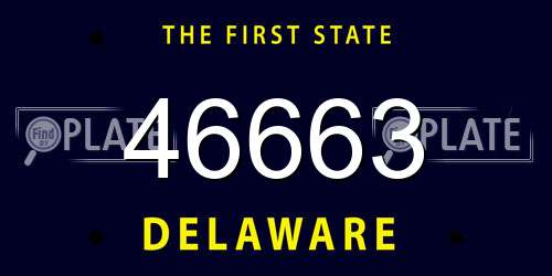 46663 Delaware License Plate