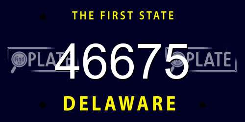 46675 Delaware License Plate