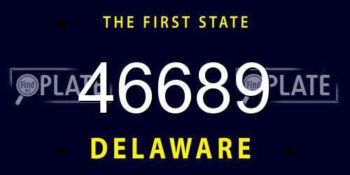 46689 Delaware License Plate