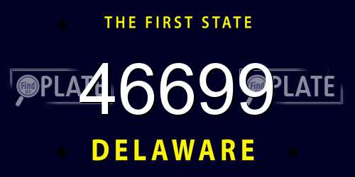 46699 Delaware License Plate