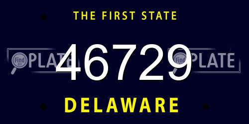 46729 Delaware License Plate