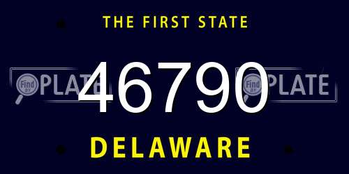 46790 Delaware License Plate