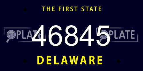 46845 Delaware License Plate