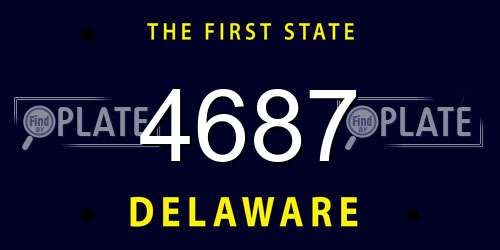 4687 Delaware License Plate