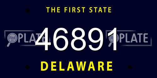 46891 Delaware License Plate