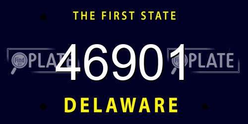 46901 Delaware License Plate