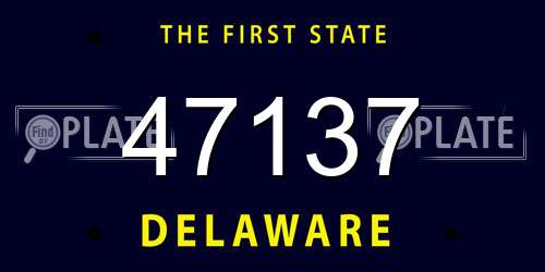 47137 Delaware License Plate