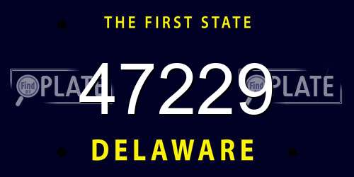47229 Delaware License Plate