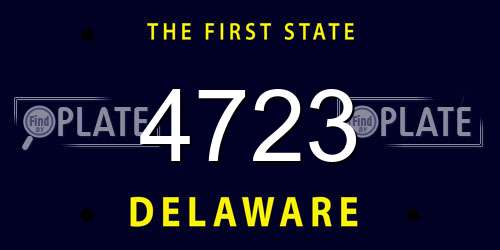 4723 Delaware License Plate