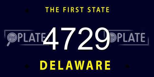 4729 Delaware License Plate