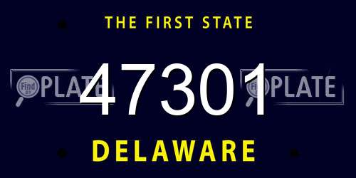 47301 Delaware License Plate