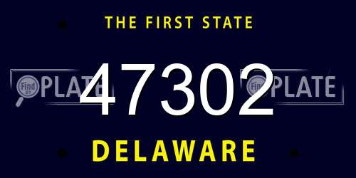 47302 Delaware License Plate