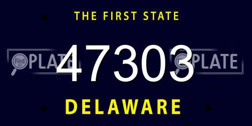 47303 Delaware License Plate