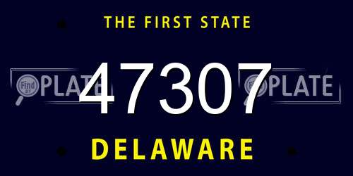 47307 Delaware License Plate