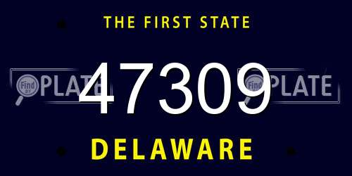 47309 Delaware License Plate