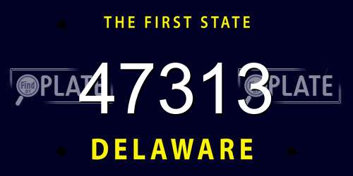 47313 Delaware License Plate