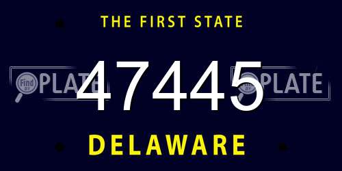47445 Delaware License Plate